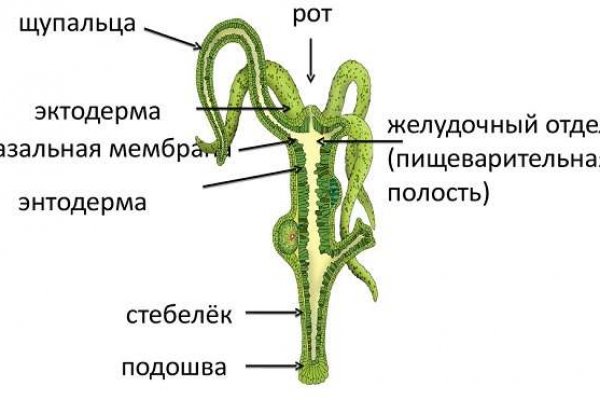 Кракен маркетплейс скачать