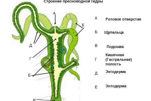 Актуальное зеркало на кракен