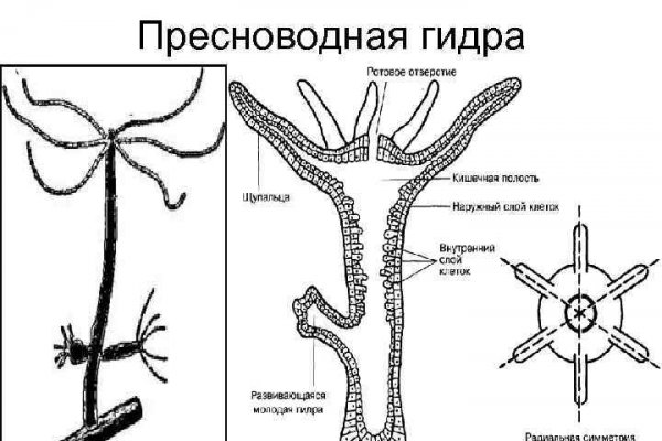 Кракен актуальные