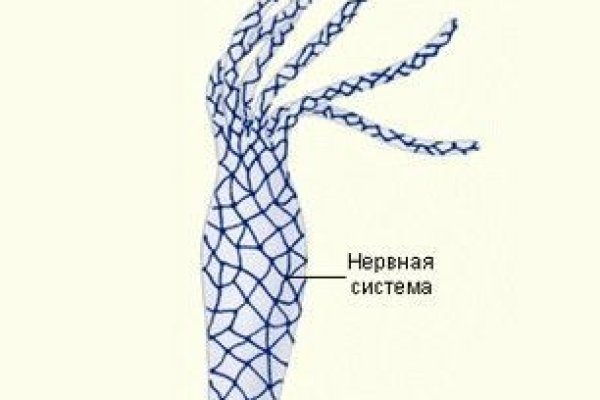 Кракен даркнет скачать