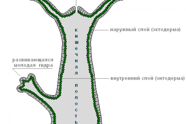 Аналог hydra