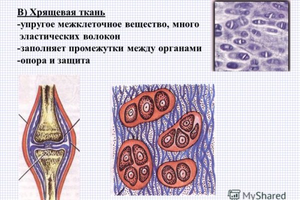 Ссылка на кракен онион