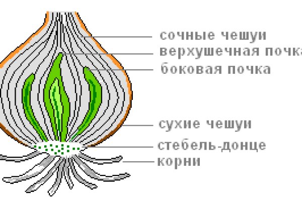 Кракен наркошоп ссылка